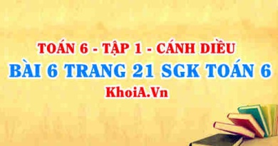 Bài 6 trang 21 SGK Toán 6 tập 1 Cánh Diều
